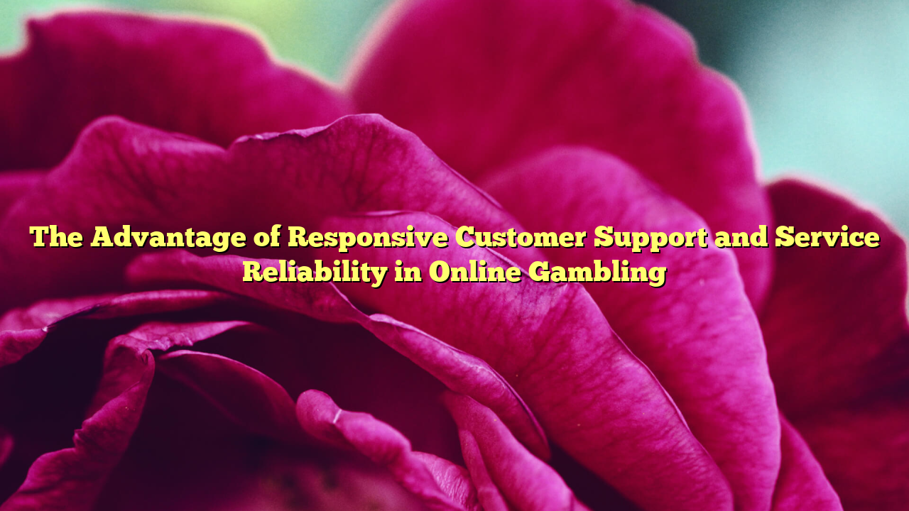 The Advantage of Responsive Customer Support and Service Reliability in Online Gambling