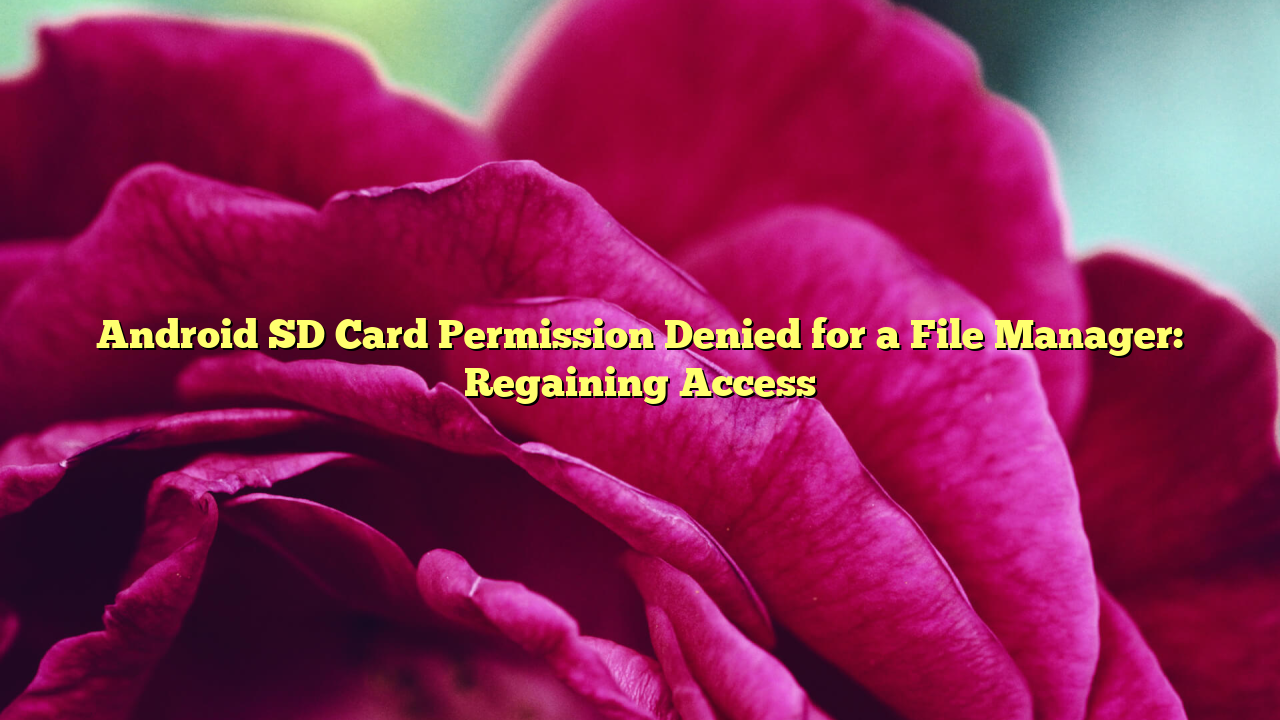 Android SD Card Permission Denied for a File Manager: Regaining Access