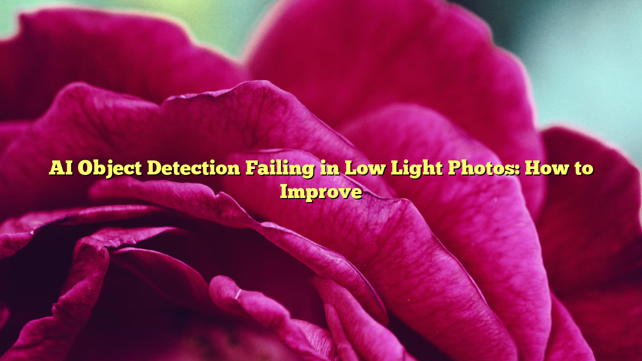 AI Object Detection Failing in Low Light Photos: How to Improve